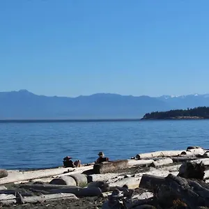 Esquimalt Lagoon Life Victoria