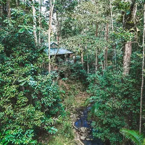 Narrows Escape Rainforest Retreat Montville