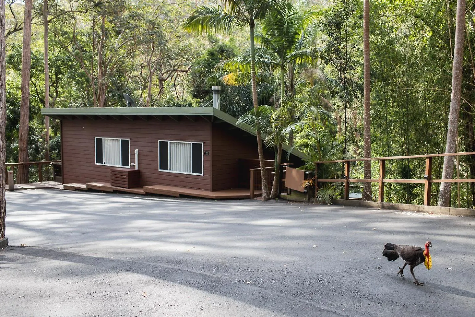 Kondalilla Eco Resort Montville