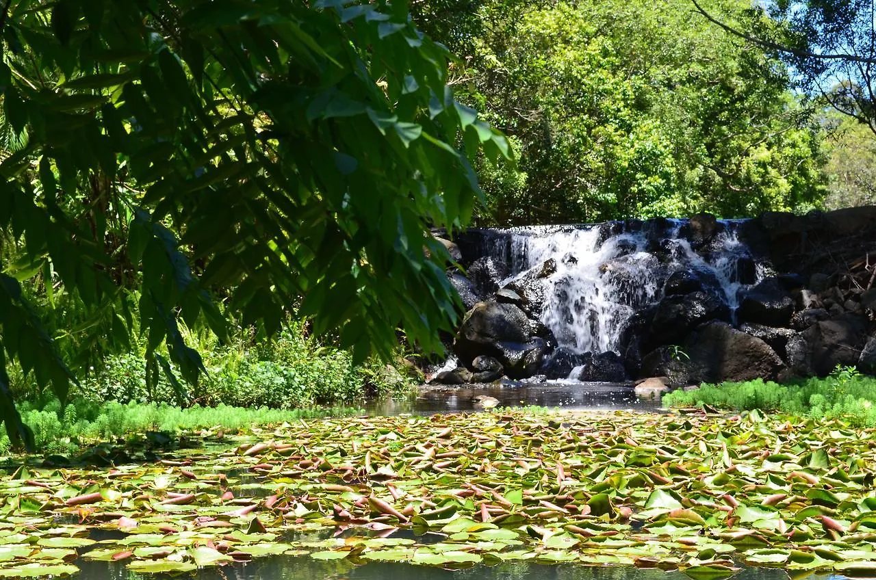 Kondalilla Eco Resort Montville