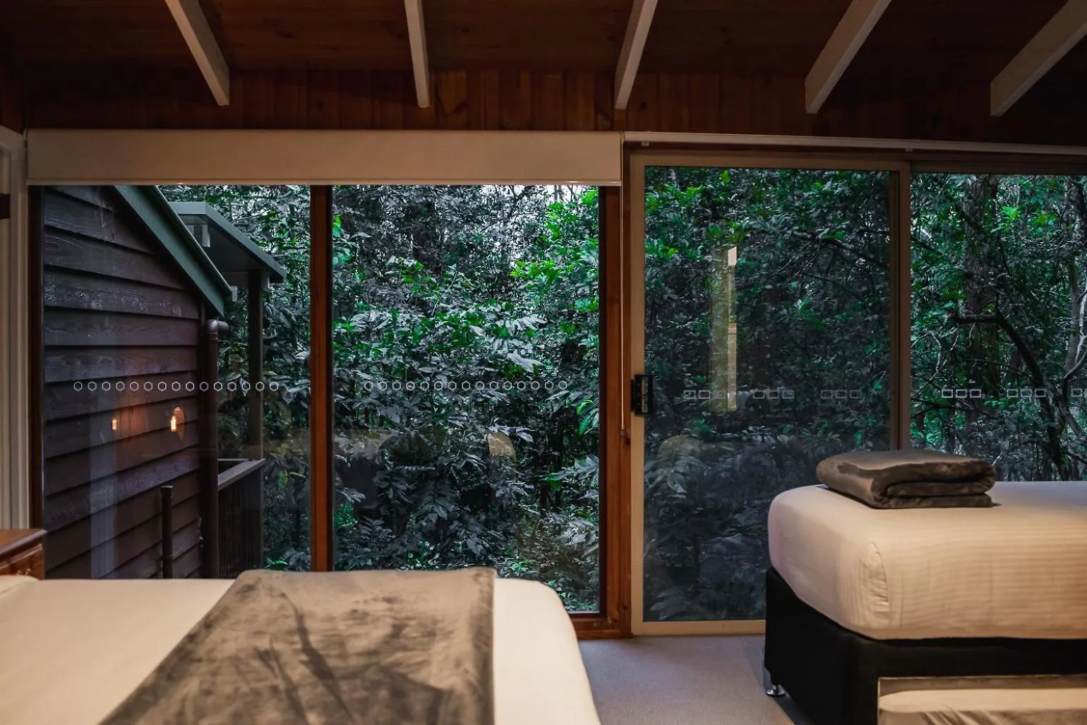 Kondalilla Eco Resort Montville