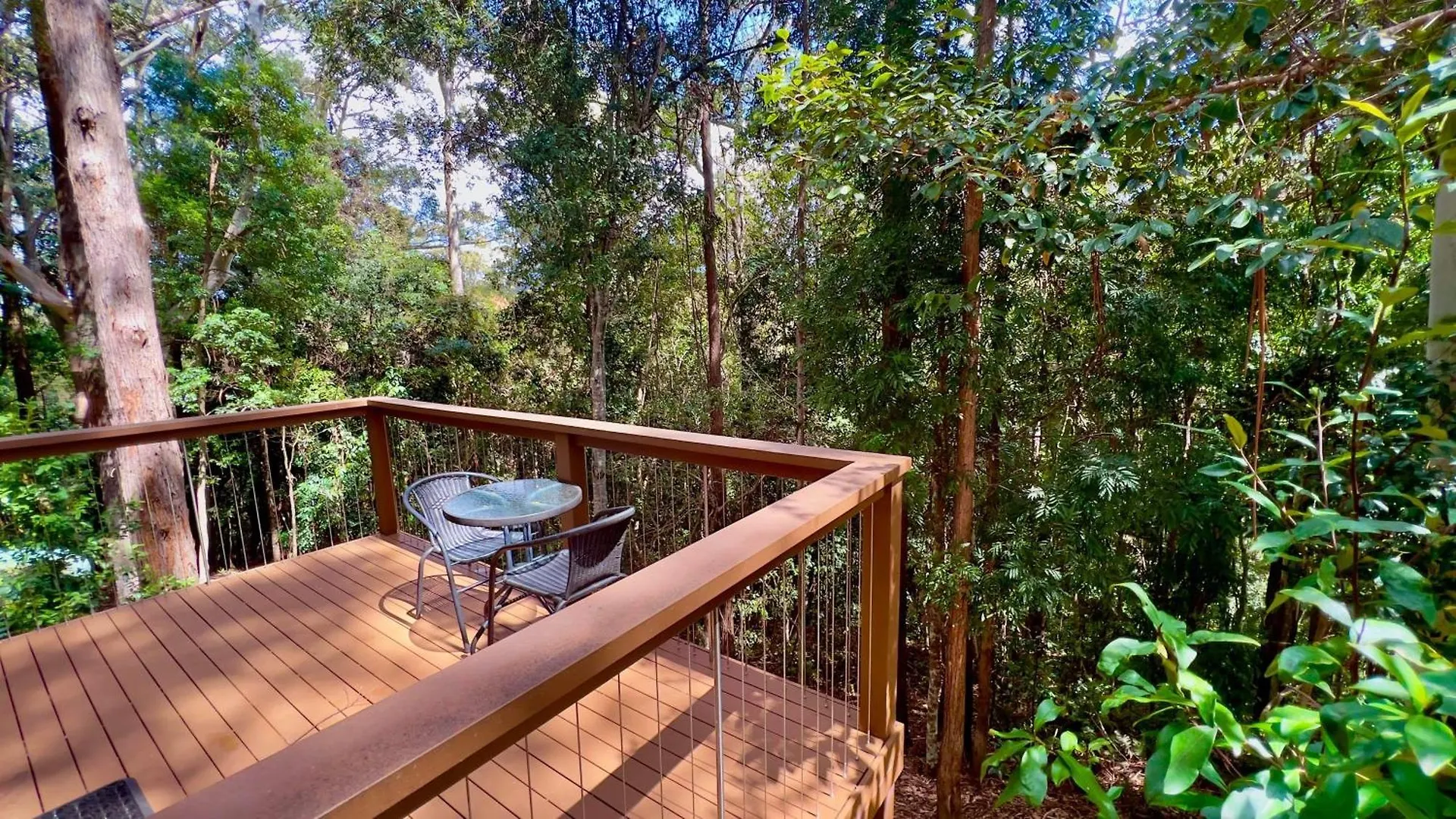 Kondalilla Eco Resort Montville