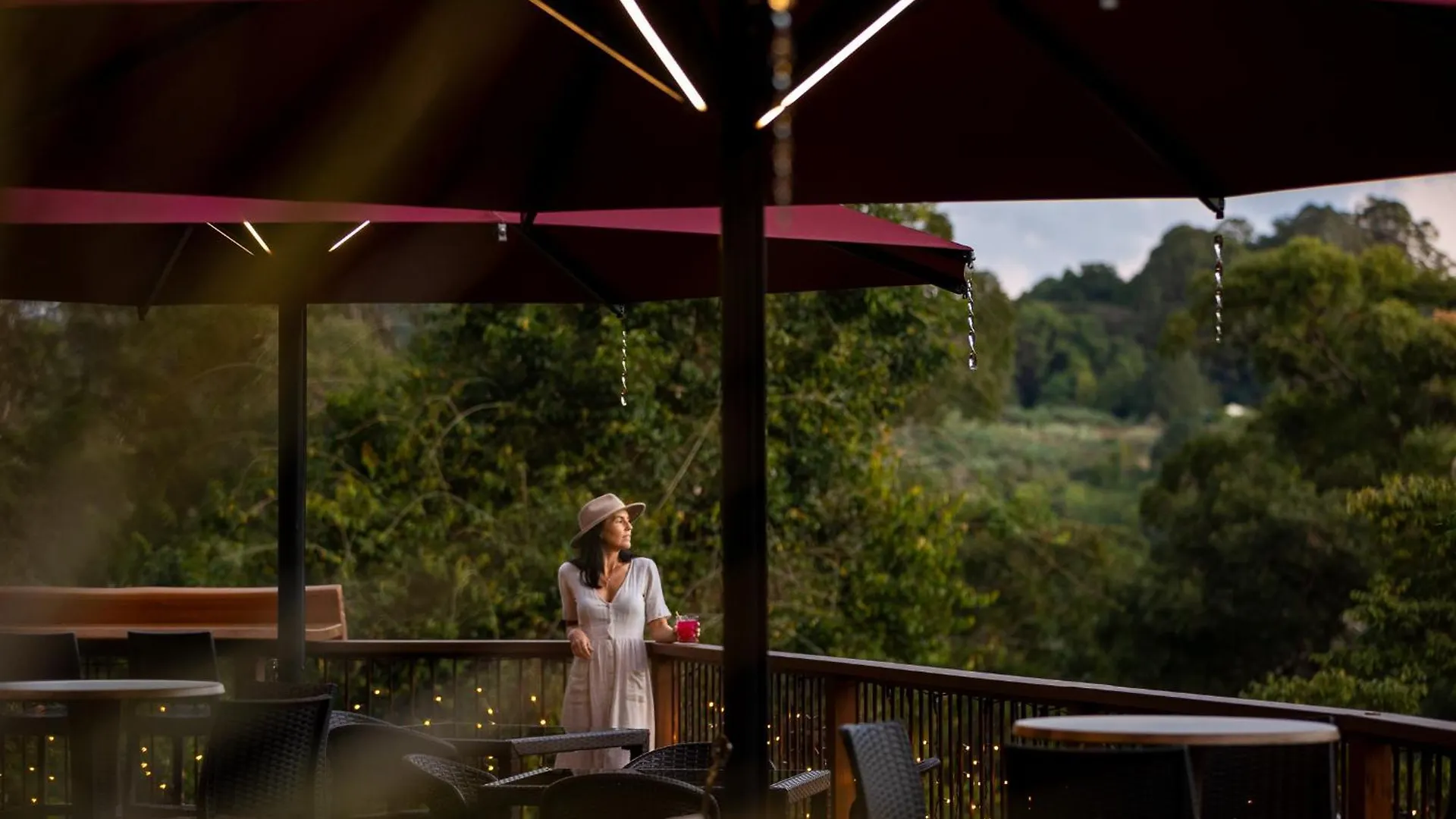 Kondalilla Eco Resort Montville Australia