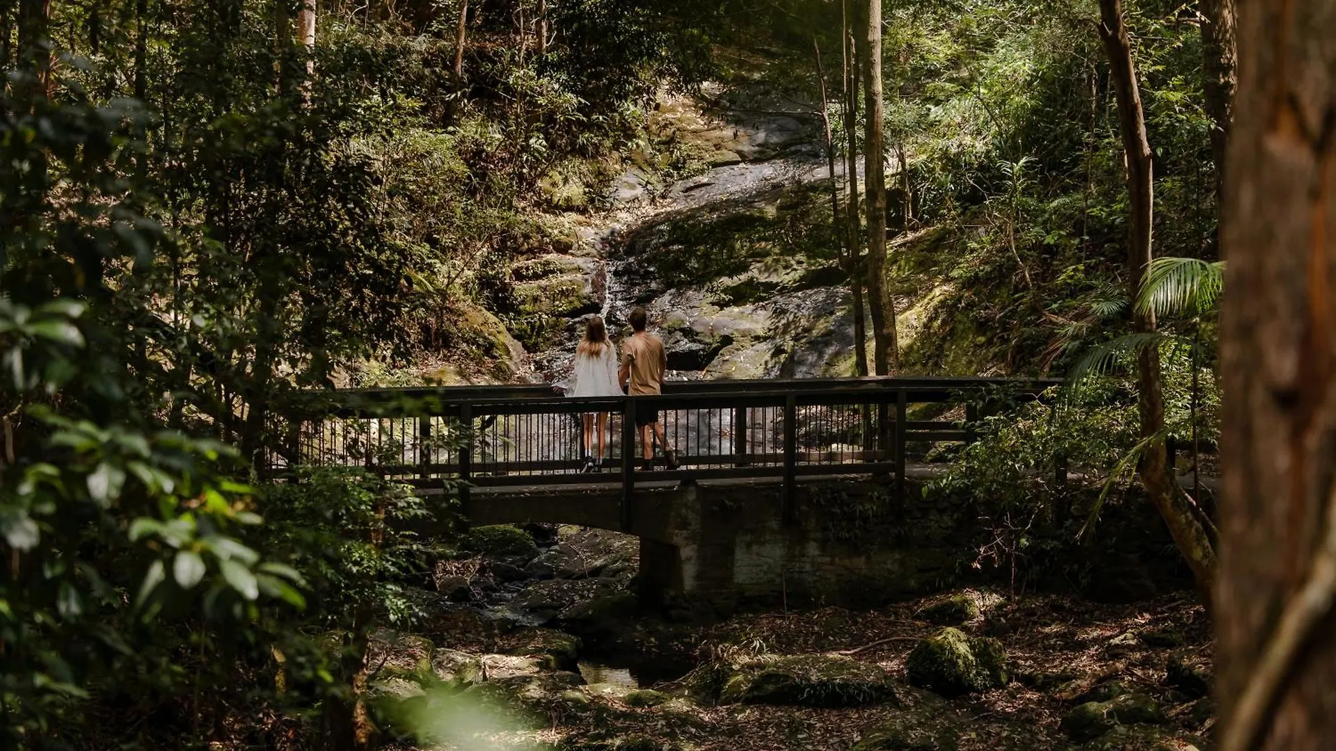 Kondalilla Eco Resort Montville 3*,