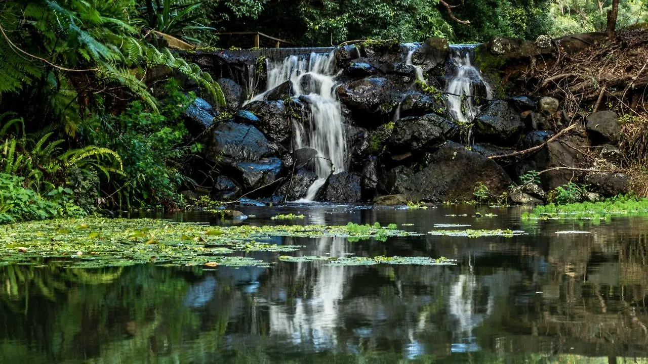 Kondalilla Eco Resort Montville